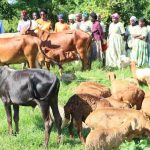 Hon. Abeku Hellen Adoa: Serere’s Heartbeat of Service and Progress