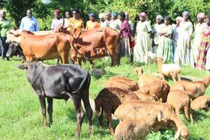 Hon. Abeku Hellen Adoa: Serere’s Heartbeat of Service and Progress